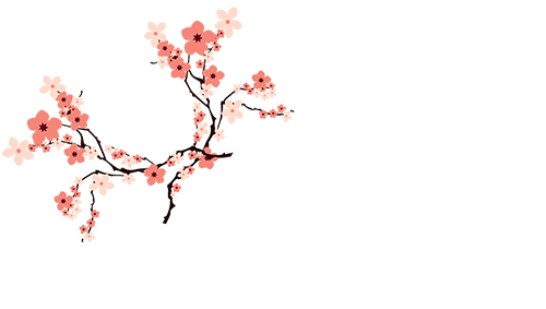 Annya.ro